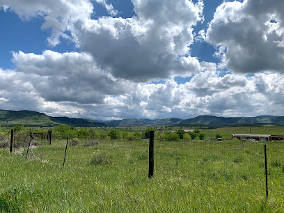 Bird's Nest Disc Golf Course - Get Good At Golf